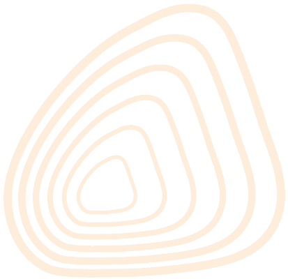 Įveskite raides ir skaičius žemiau