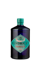 Hendrick’s Orbium 