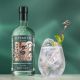 Classic Gin & Tonic