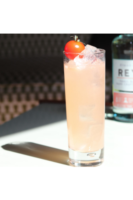 Reyka The Puffin Collins