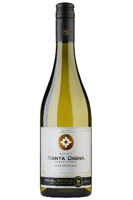 Torres Santa Digna Chardonnay
